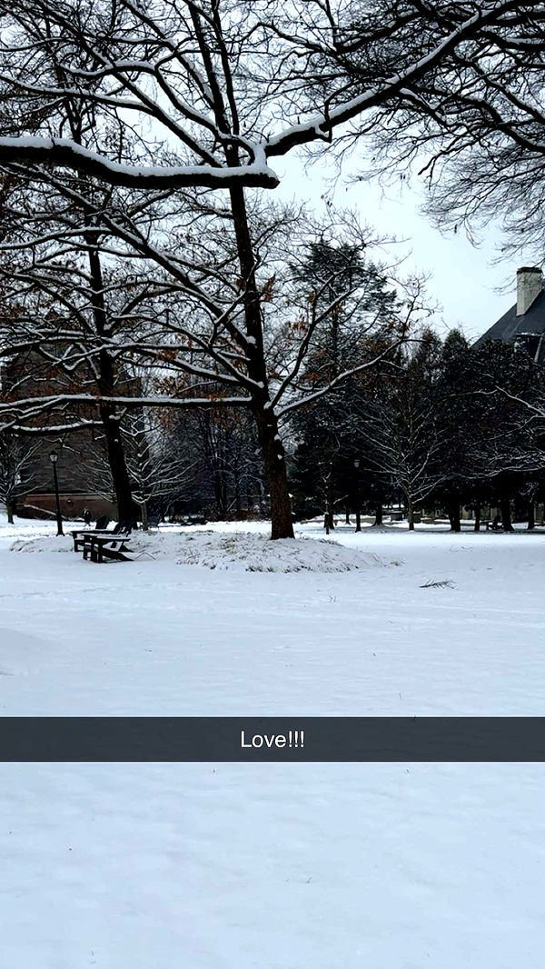 carmmieecat image ~ Altpins