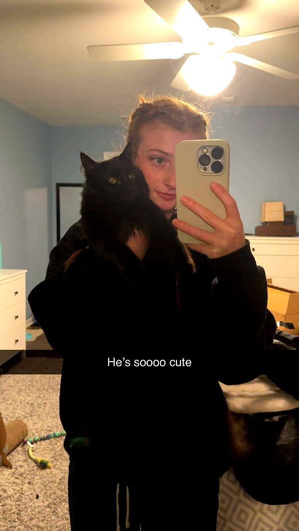 carmmieecat image ~ Altpins