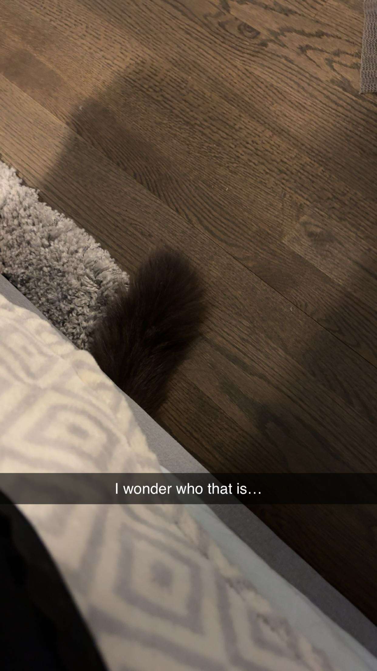 carmmieecat snapchat image archive image