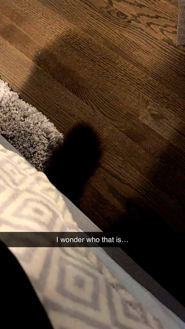 carmmieecat image ~ Altpins