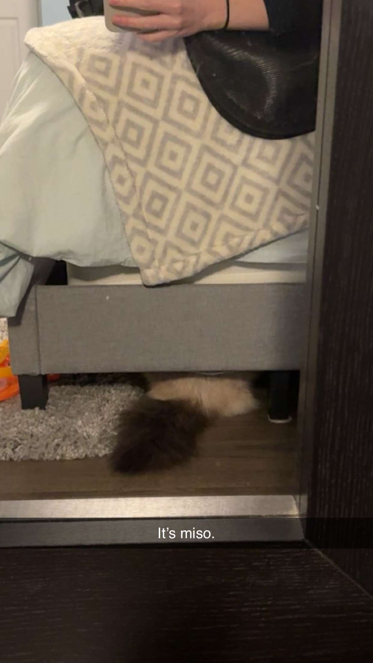 carmmieecat snapchat image archive image