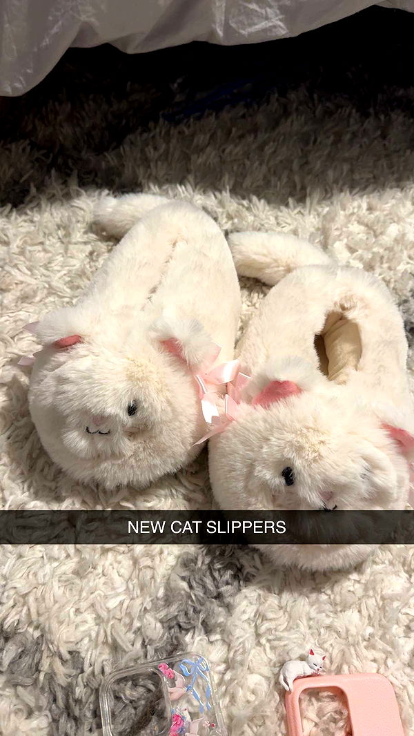 carmmieecat image ~ Altpins