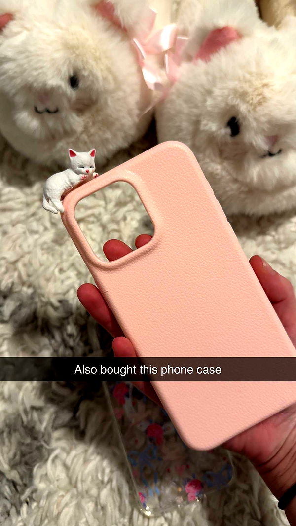 carmmieecat image ~ Altpins