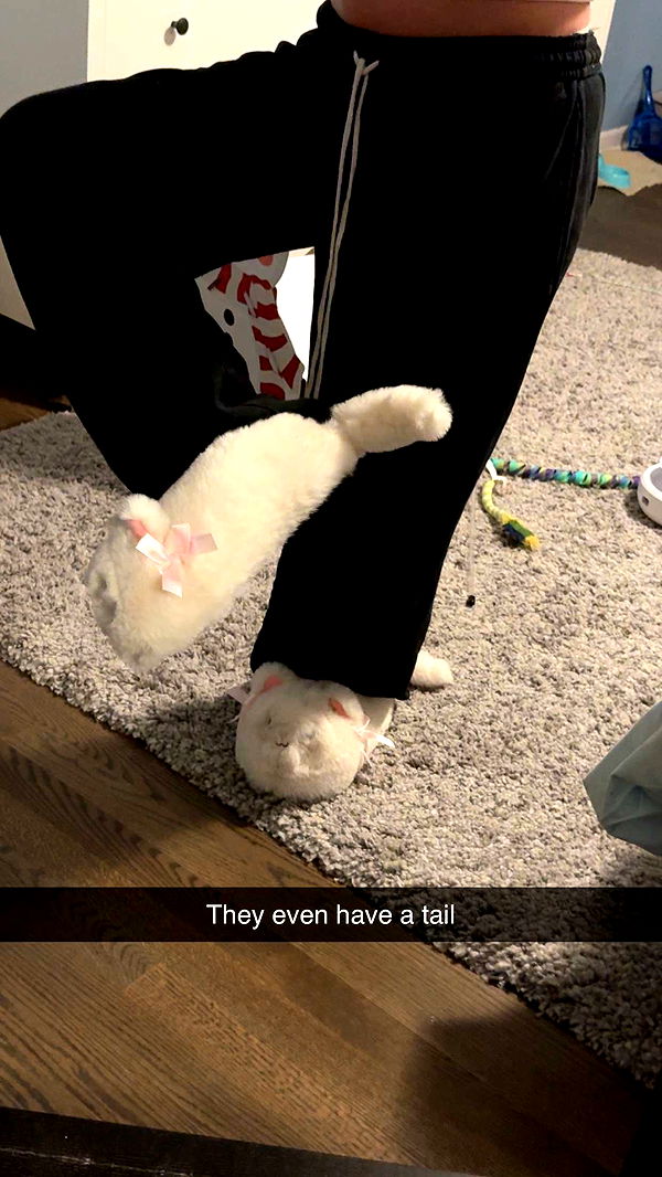 carmmieecat image ~ Altpins