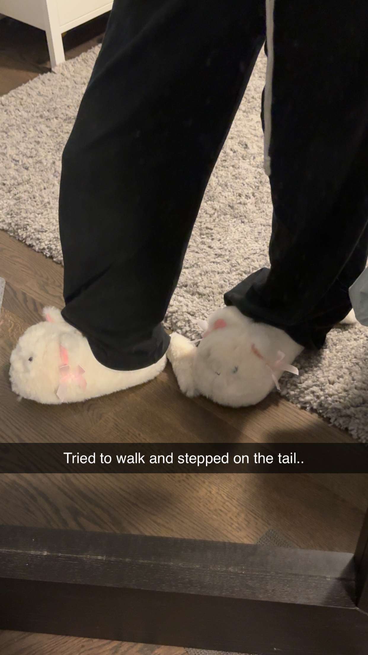 carmmieecat snapchat image archive image