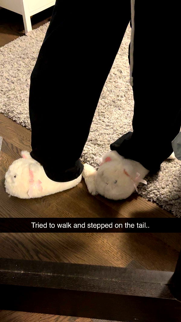 carmmieecat image ~ Altpins