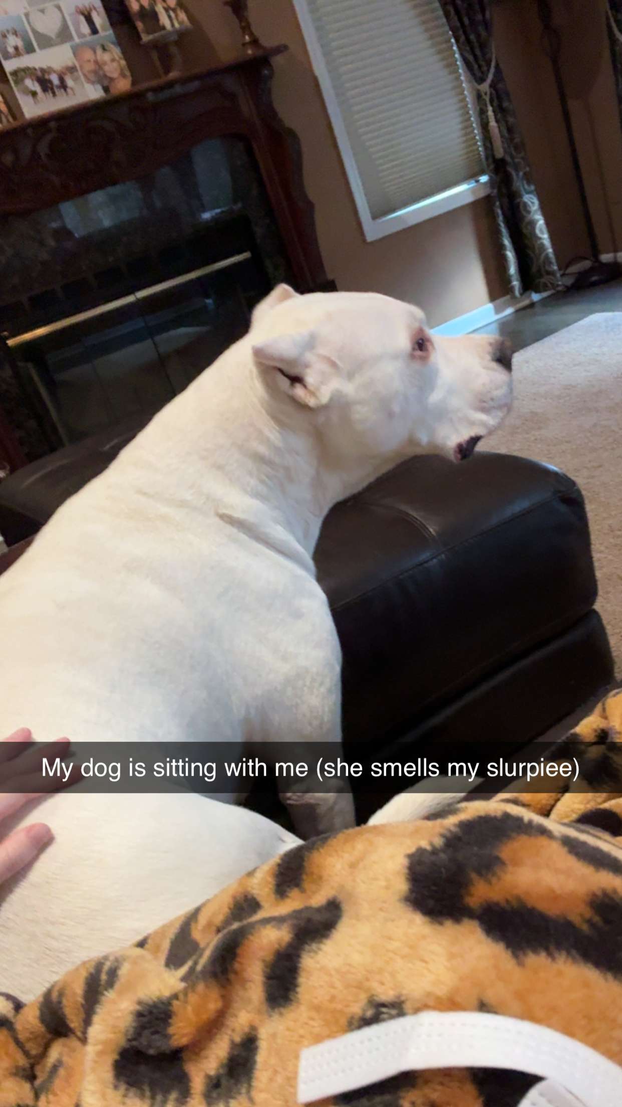 carmmieecat snapchat image archive image