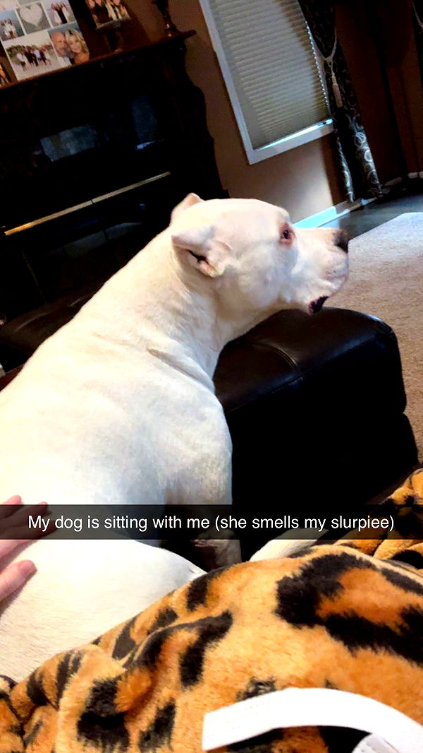 carmmieecat image ~ Altpins