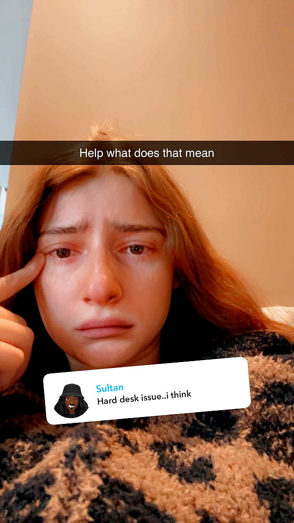 carmmieecat image ~ Altpins