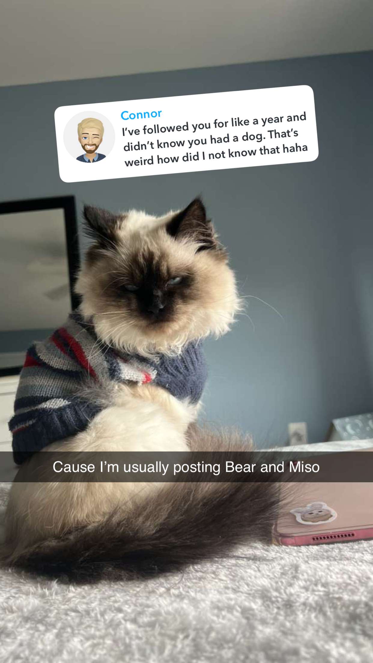 carmmieecat snapchat image archive image
