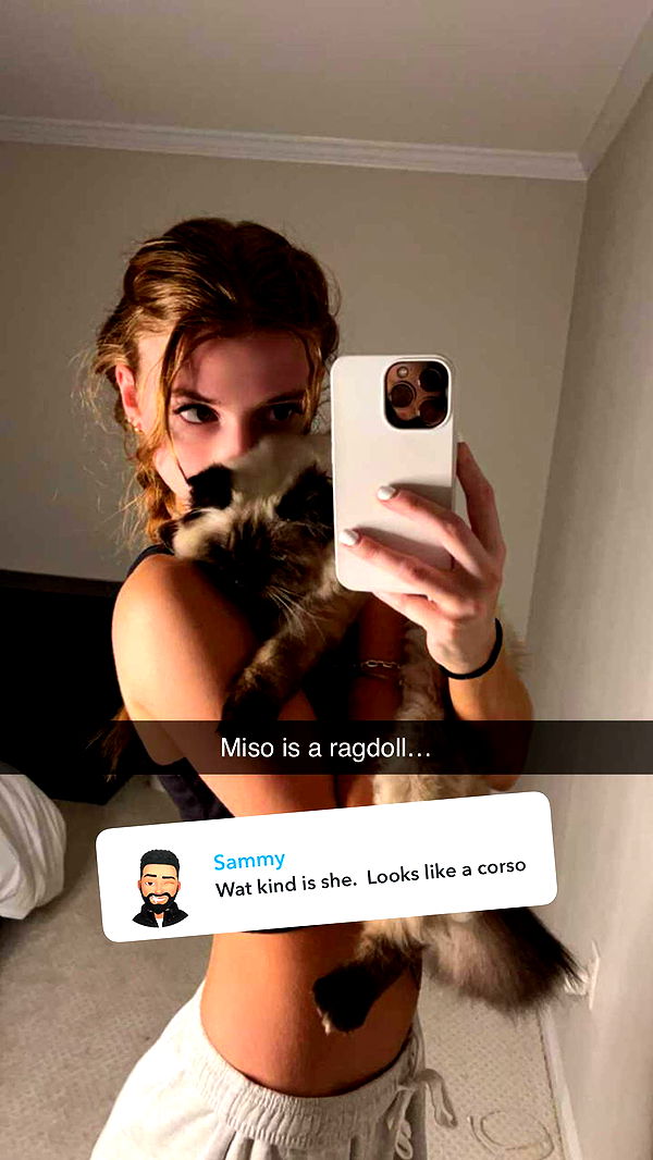 carmmieecat image ~ Altpins