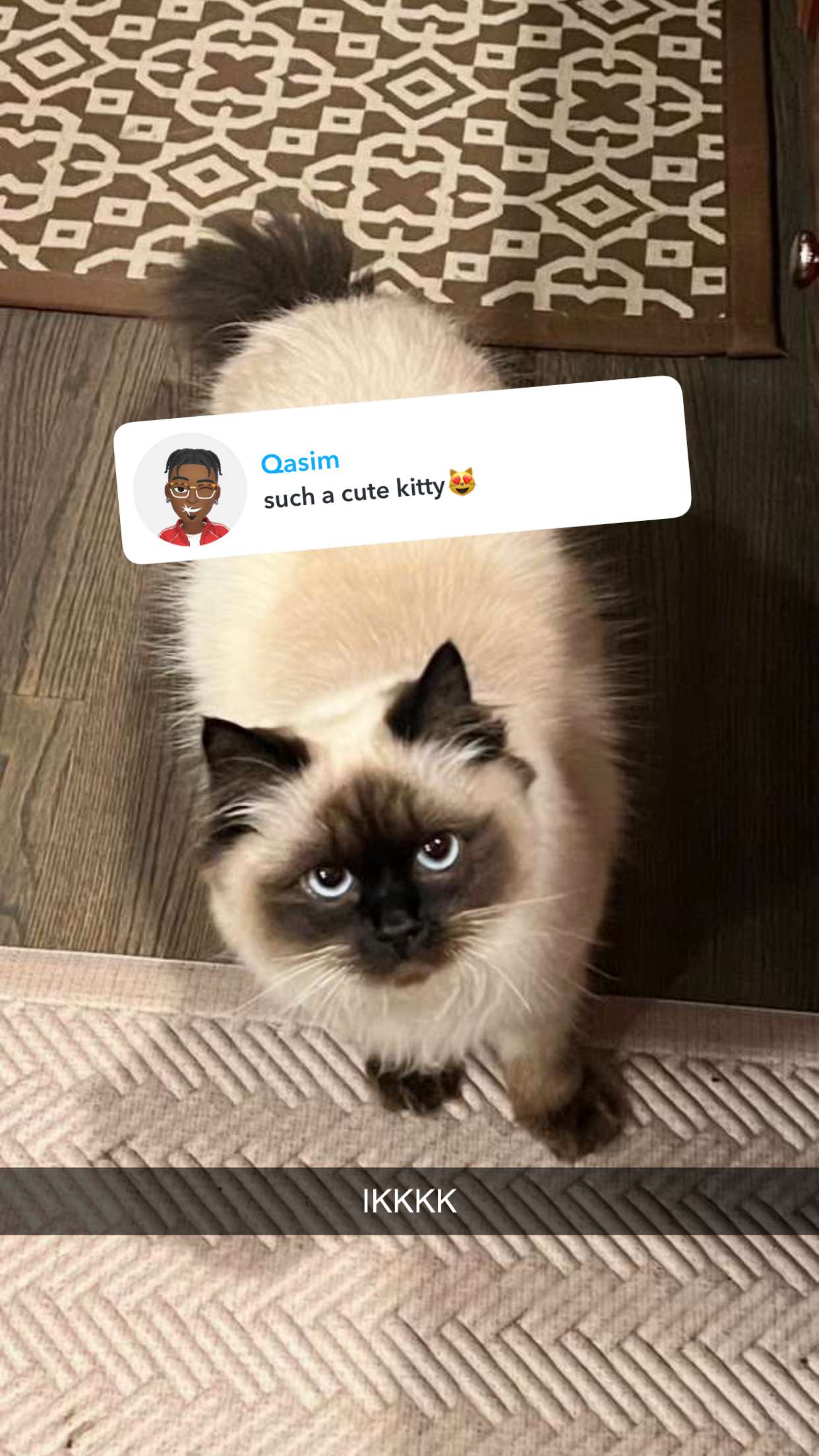 carmmieecat snapchat image archive image