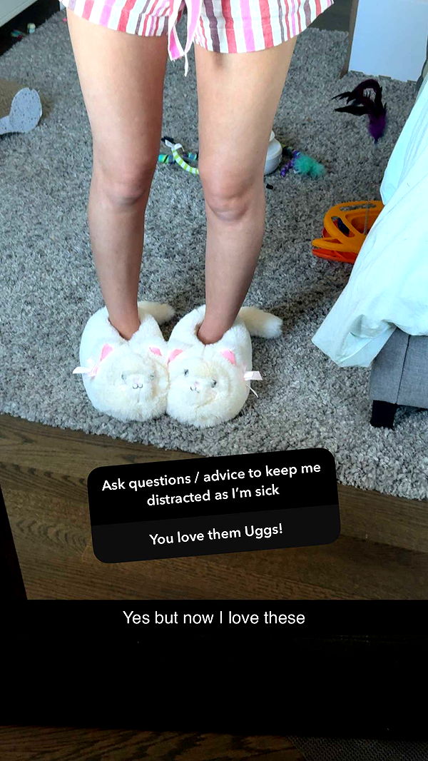 carmmieecat image ~ Altpins