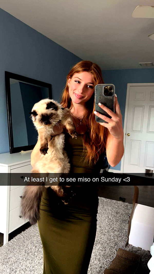 carmmieecat image ~ Altpins