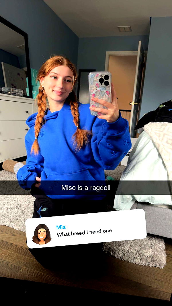 carmmieecat image ~ Altpins