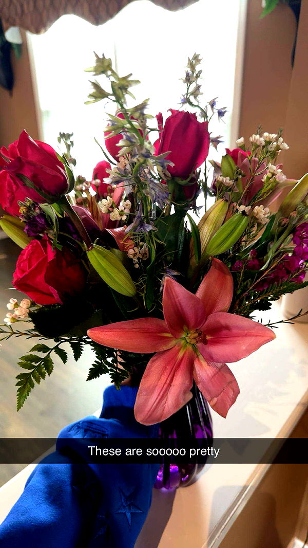 carmmieecat image ~ Altpins