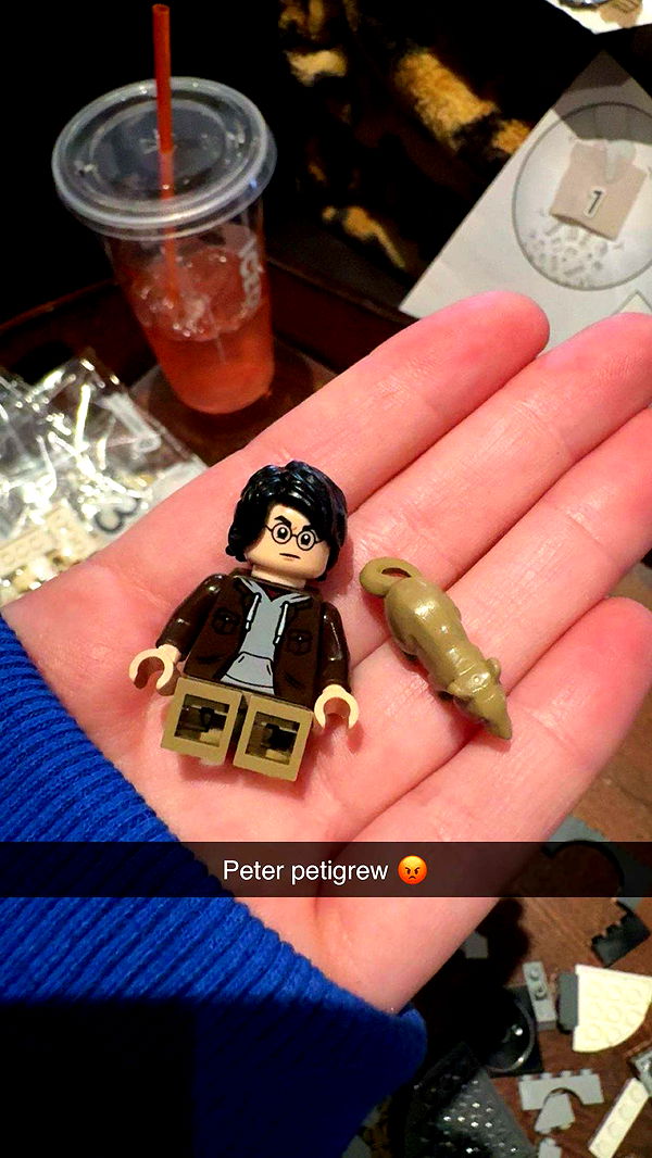 carmmieecat image ~ Altpins