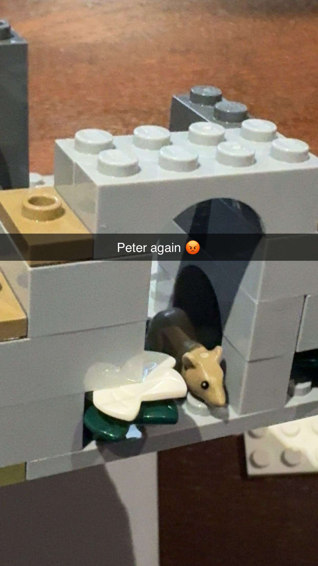 carmmieecat snapchat image archive image