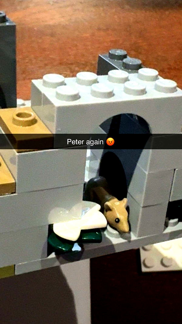 carmmieecat image ~ Altpins