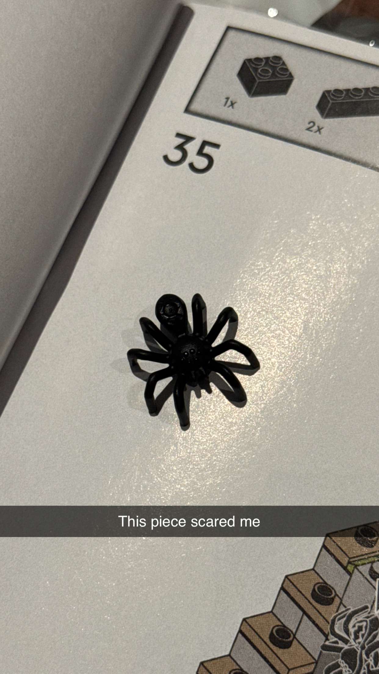 carmmieecat snapchat image archive image