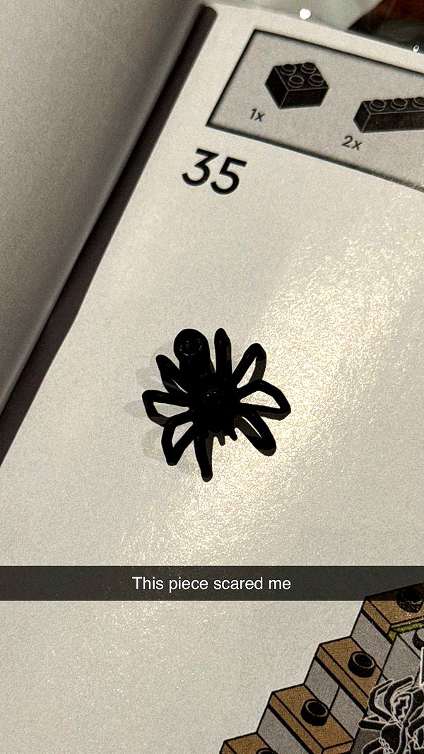 carmmieecat image ~ Altpins