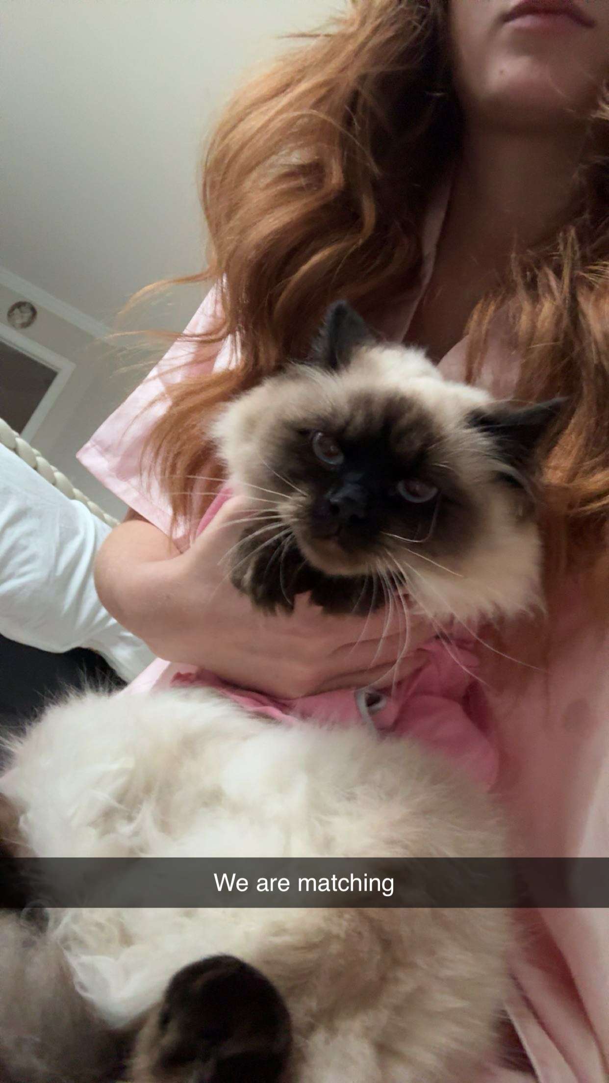 carmmieecat snapchat image archive image