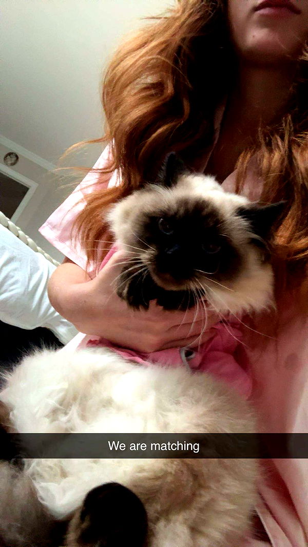 carmmieecat image ~ Altpins