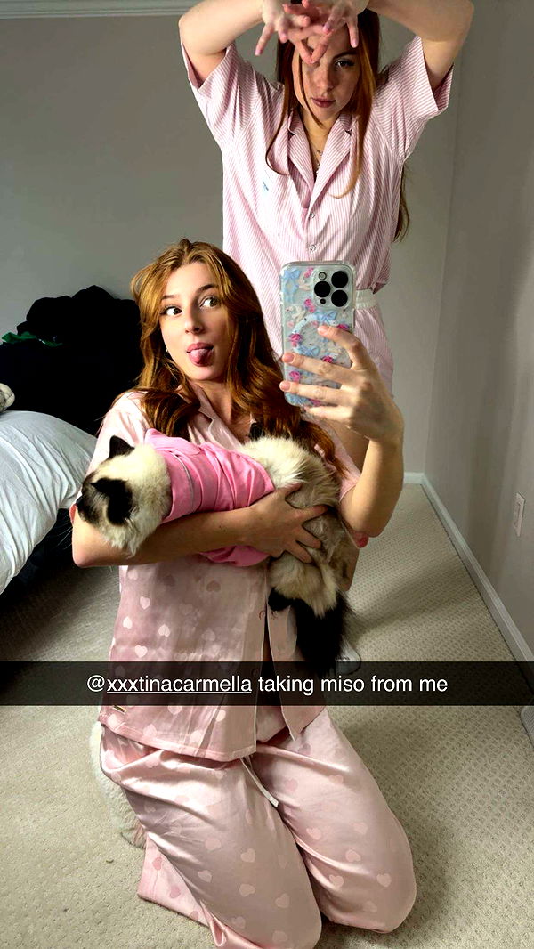 carmmieecat image ~ Altpins