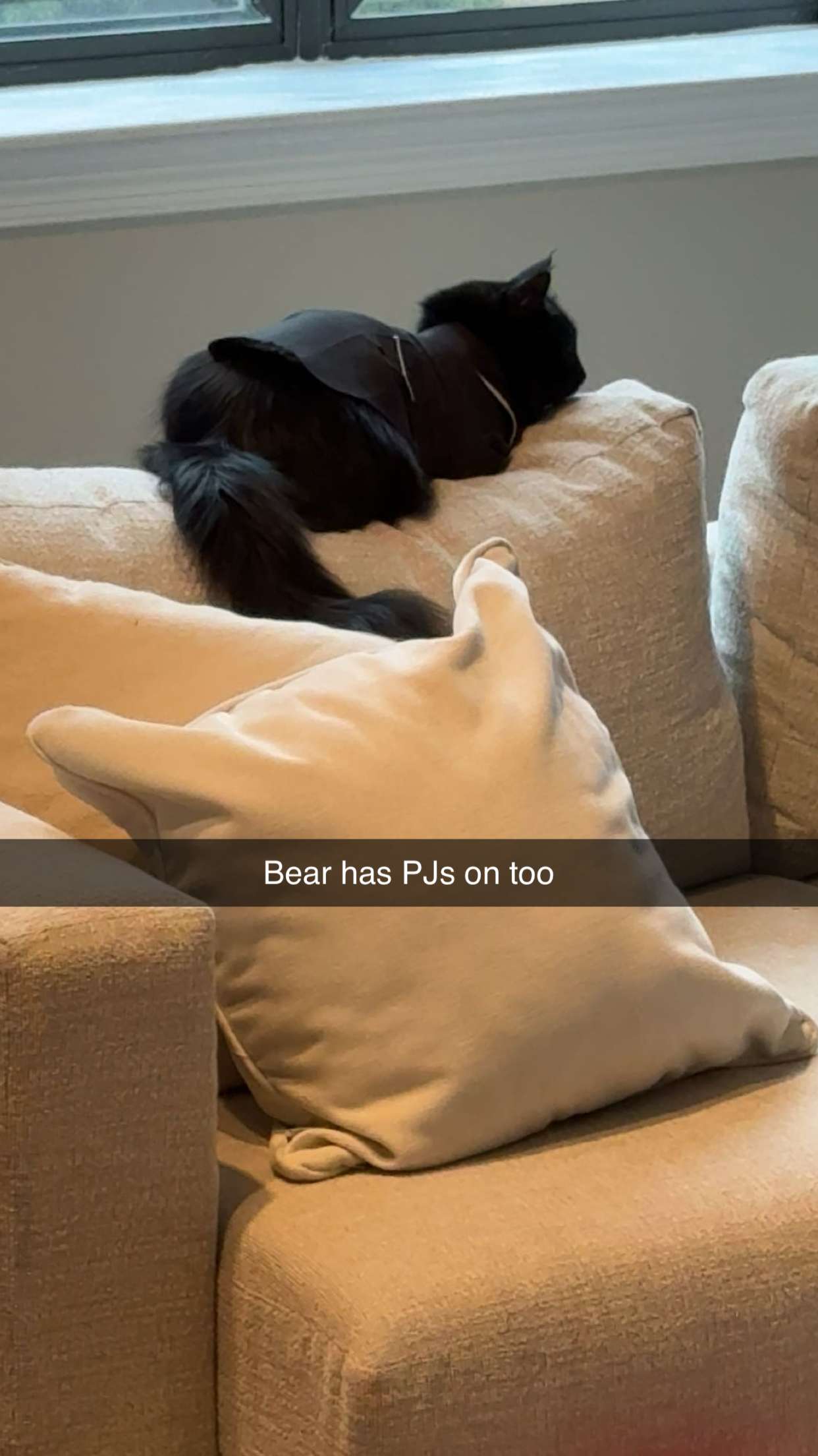 carmmieecat snapchat image archive image