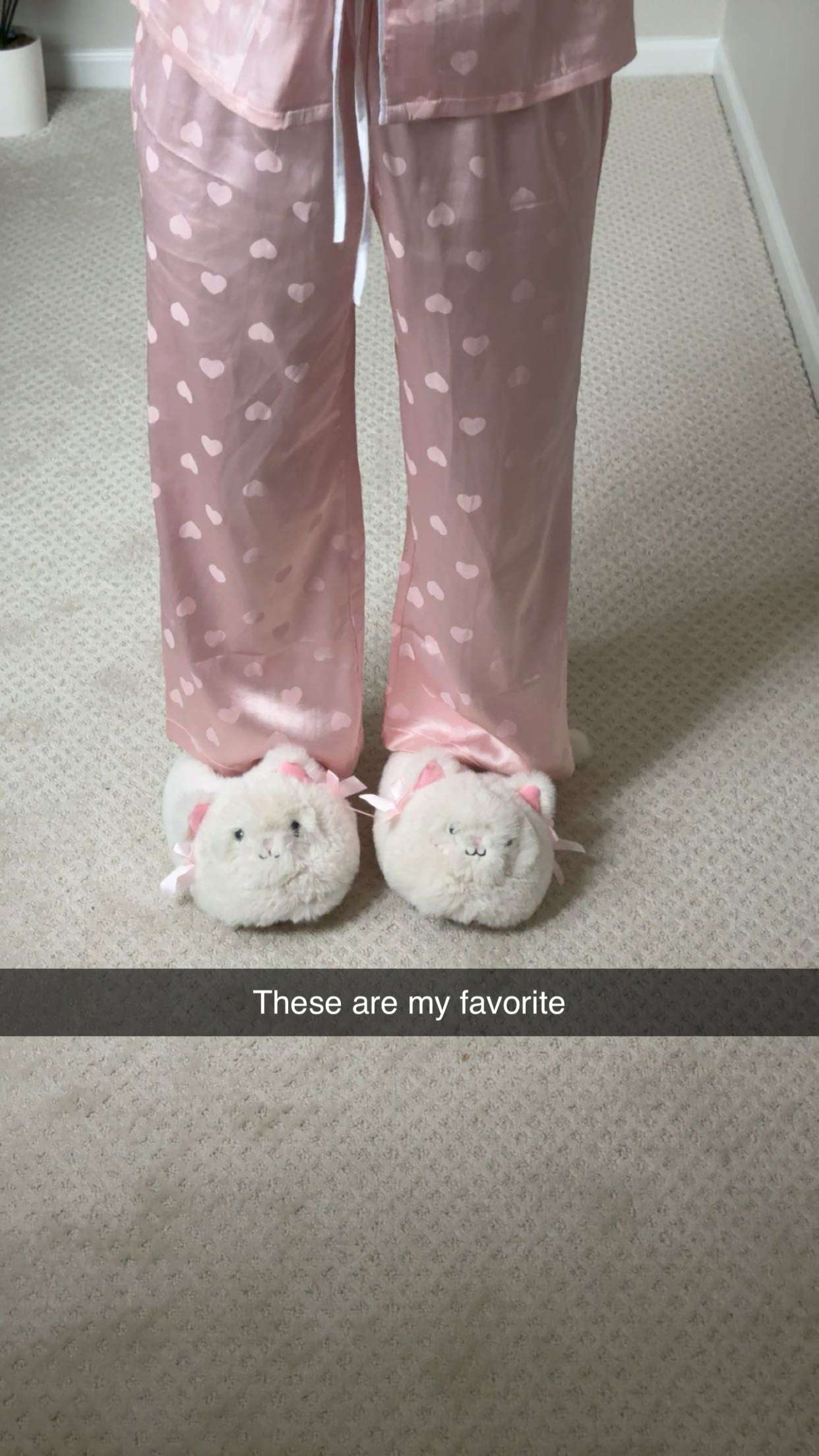 carmmieecat snapchat image archive image