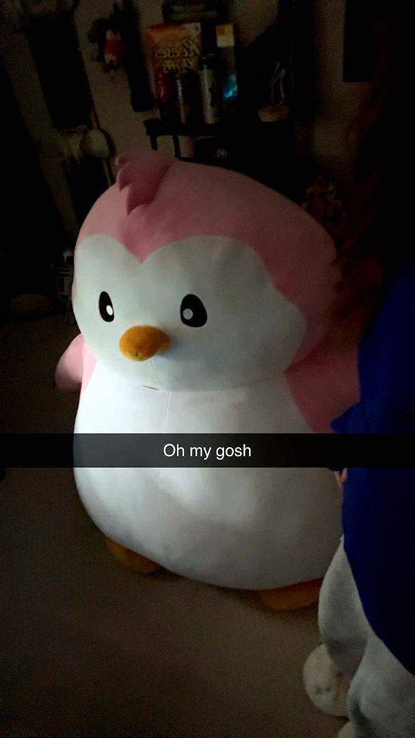 carmmieecat image ~ Altpins