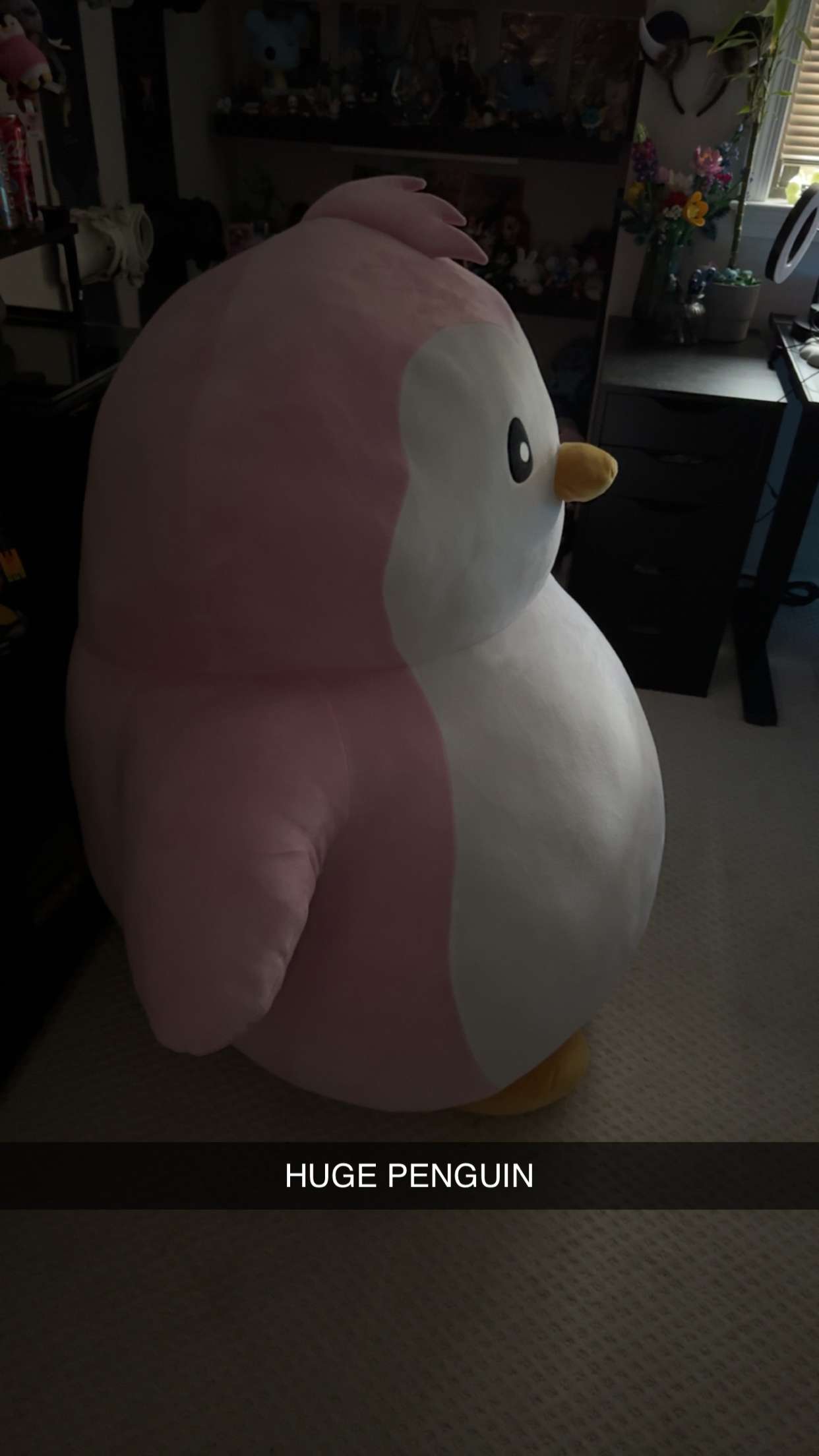 carmmieecat snapchat image archive image