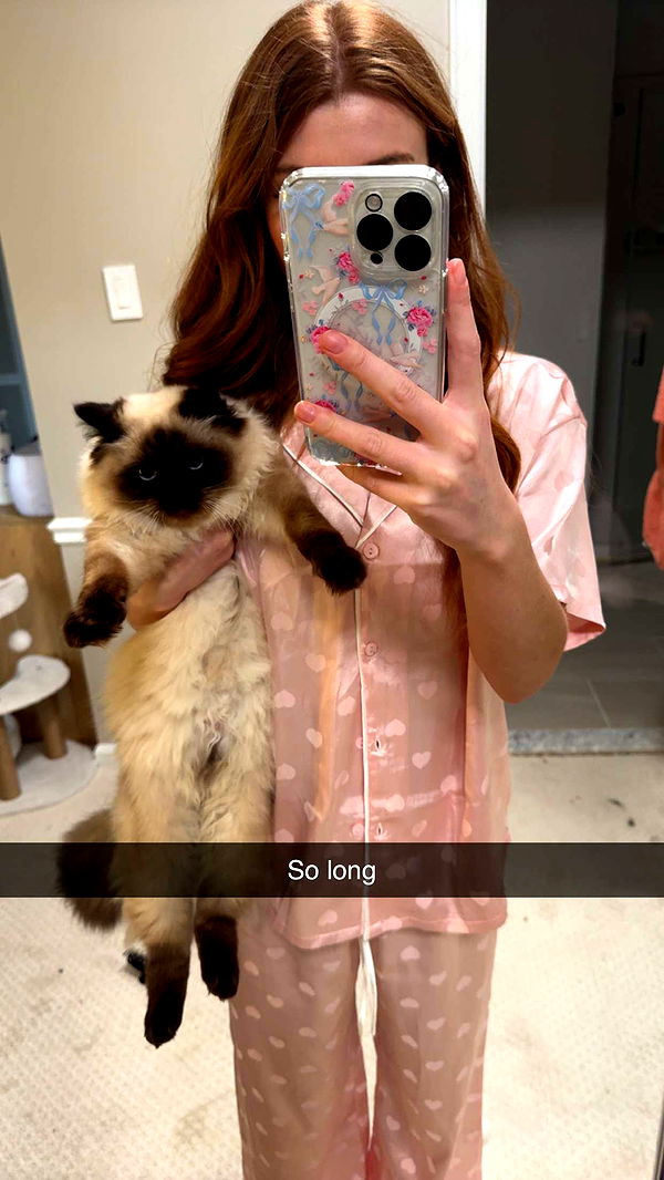 carmmieecat image ~ Altpins