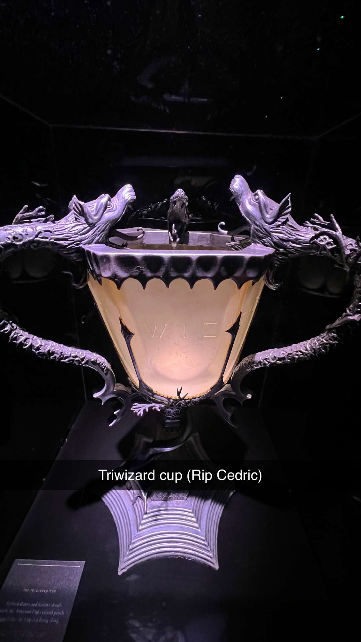 carmmieecat snapchat image archive image