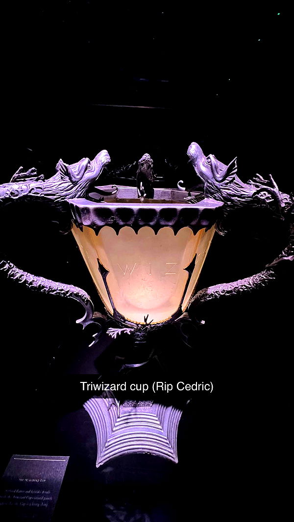 carmmieecat image ~ Altpins