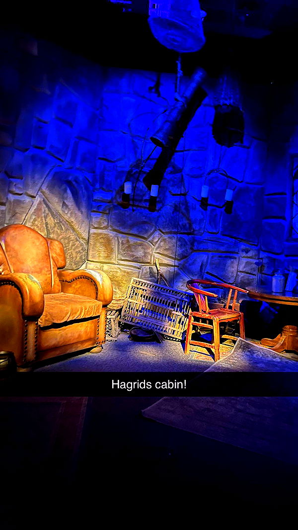 carmmieecat image ~ Altpins