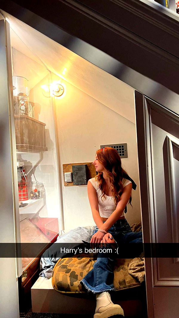 carmmieecat image ~ Altpins