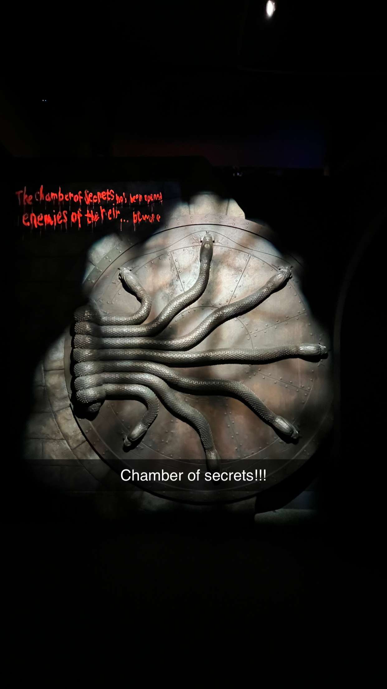 carmmieecat snapchat image archive image