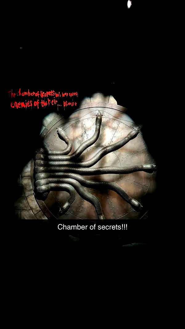 carmmieecat image ~ Altpins