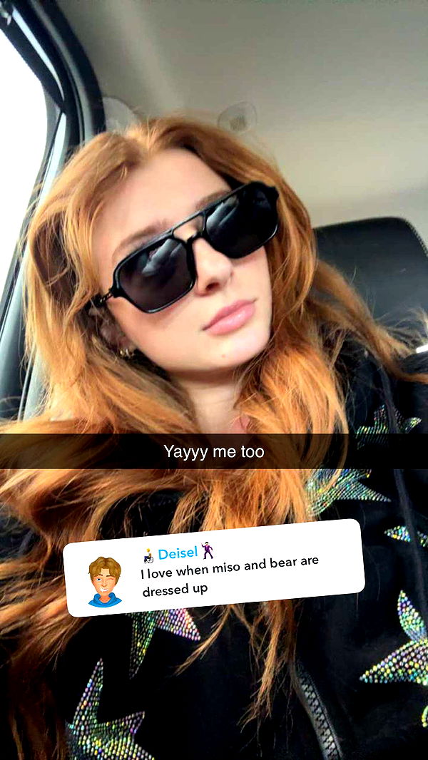 carmmieecat image ~ Altpins