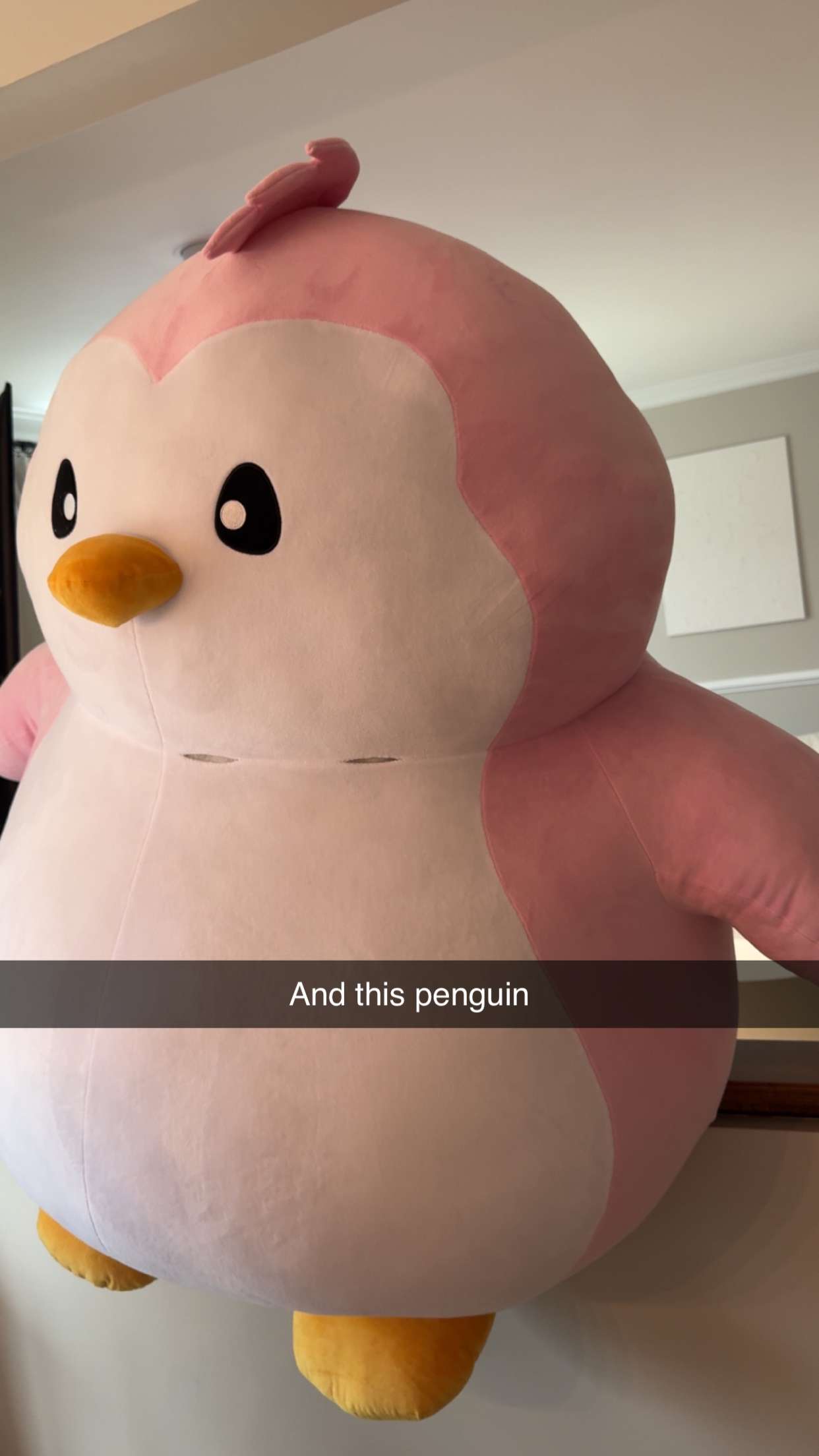 carmmieecat snapchat image archive image