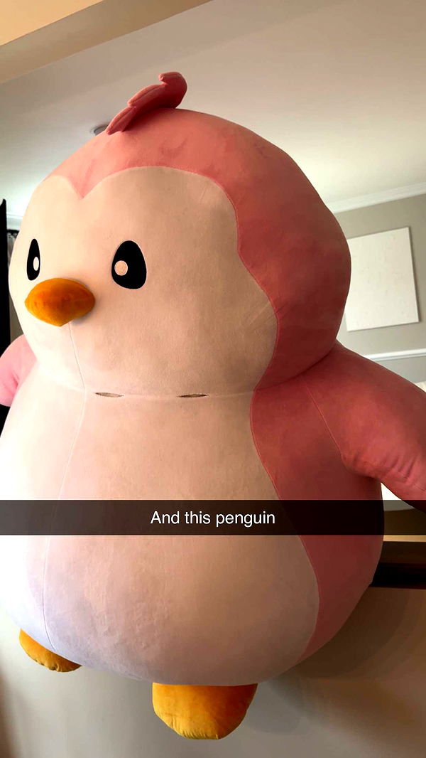 carmmieecat image ~ Altpins