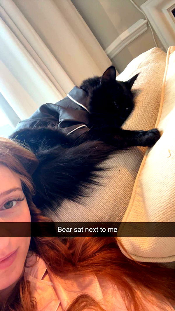 carmmieecat image ~ Altpins