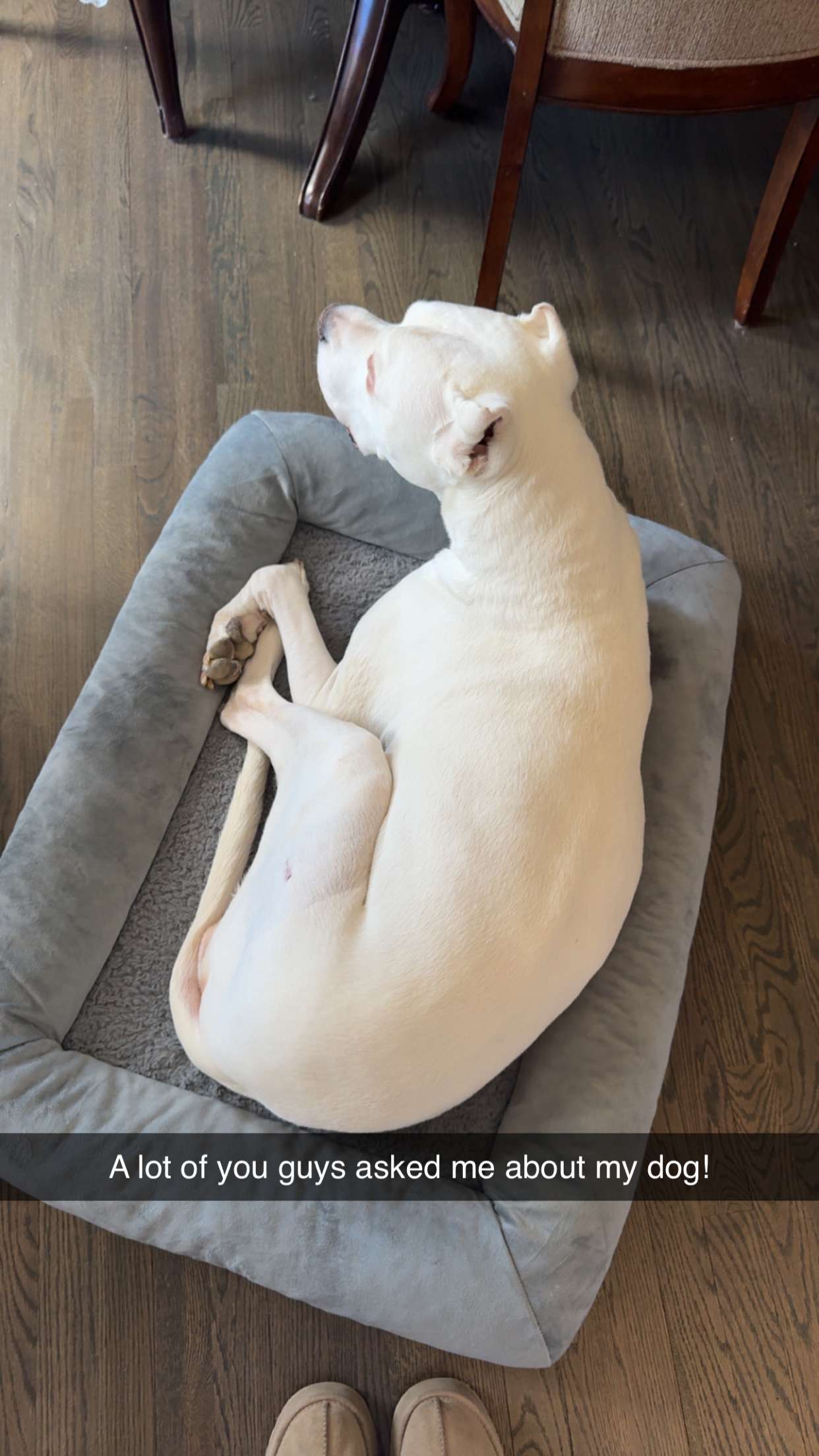 carmmieecat snapchat image archive image