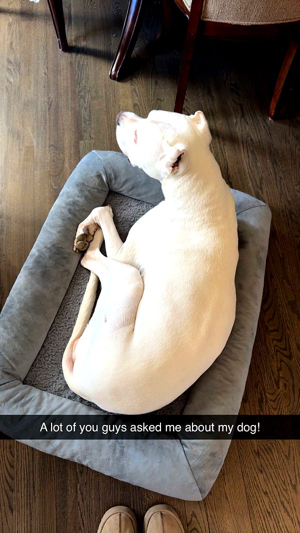 carmmieecat image ~ Altpins