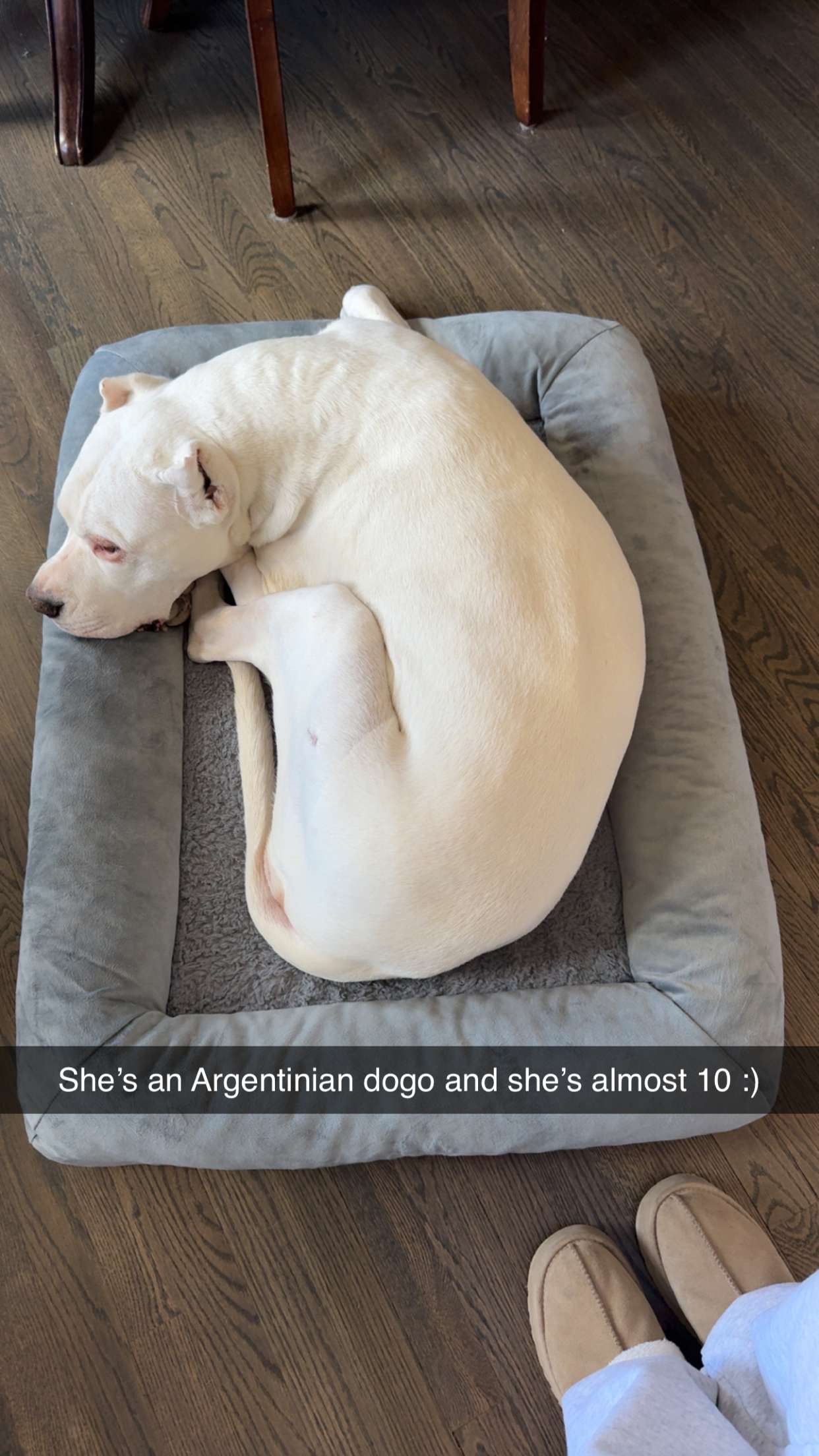 carmmieecat snapchat image archive image