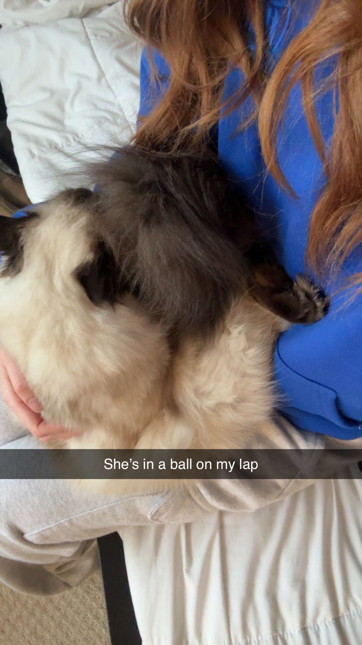 carmmieecat snapchat image archive image