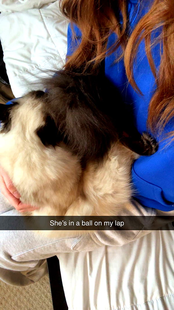 carmmieecat image ~ Altpins