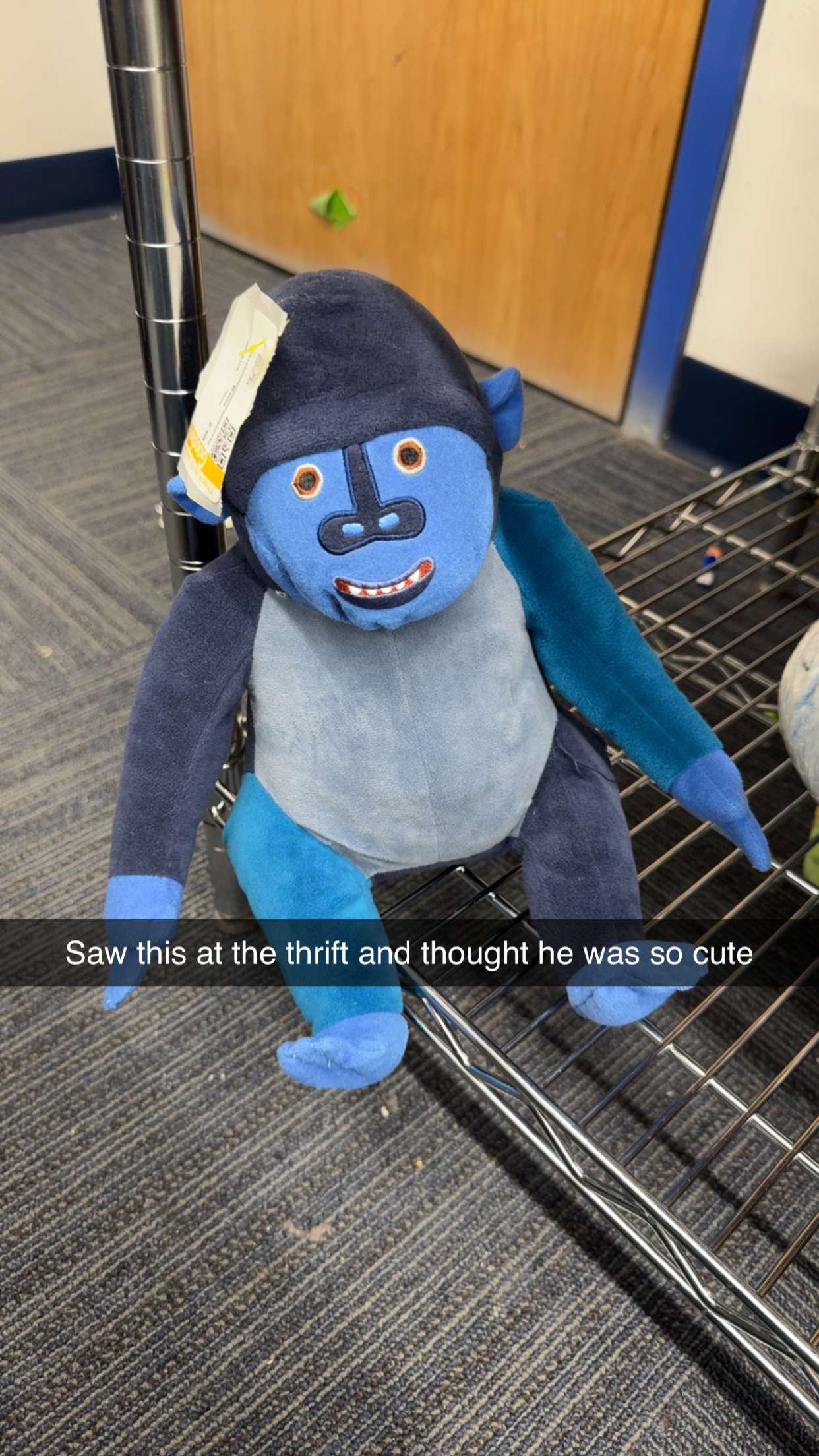 carmmieecat snapchat image archive image