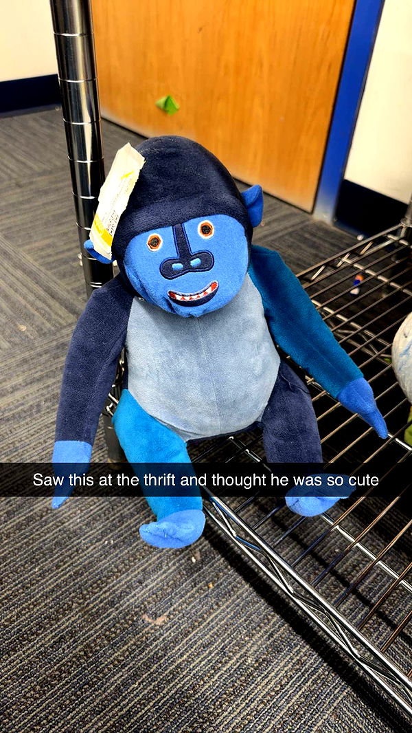 carmmieecat image ~ Altpins